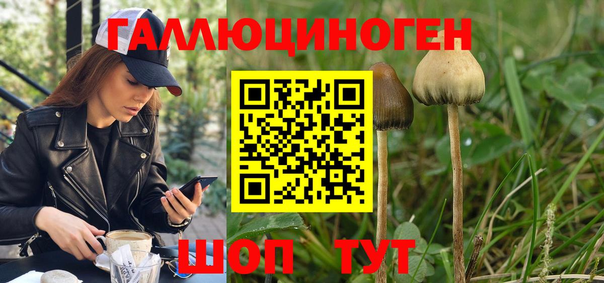 Галлюциногенные грибы MAGIC MUSHROOMS Гусев